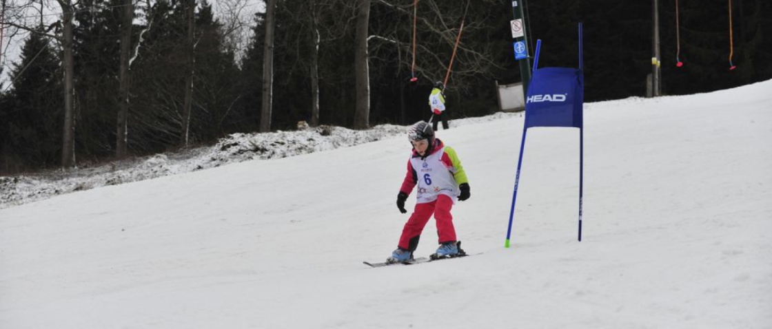 Jihomoravský lyžařský pohár - SKI SKOL BRNO Vás zve na veřejný závod v obřím slalomu v sobotu 3.3.2018