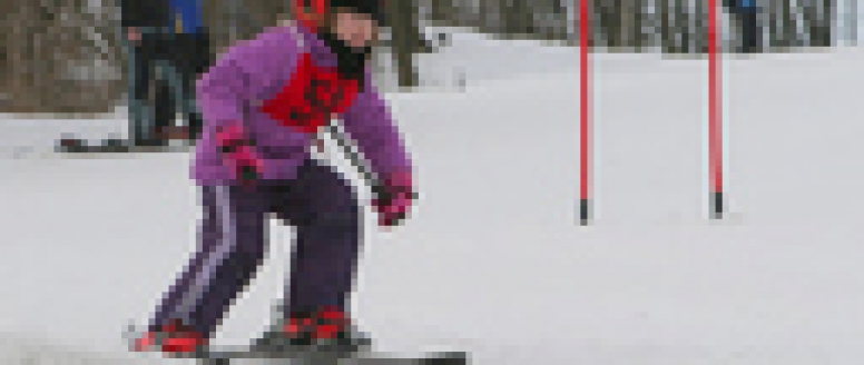 Veřejný a náborový závod Jihomoravský lyžařský pohár 8.2.2014 Němčičky a 9.2.2014 Jimramov