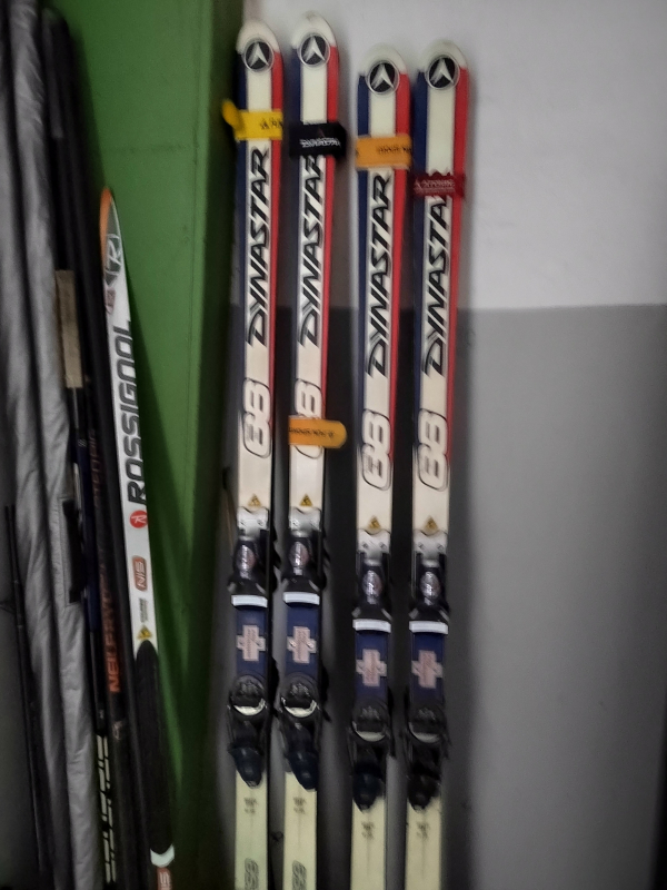 Prodám lyže Dynastar DH - ZLEVNĚNO