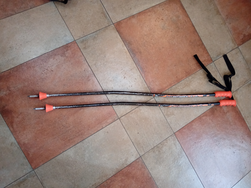 GS Hole Dynastar v délce 110cm