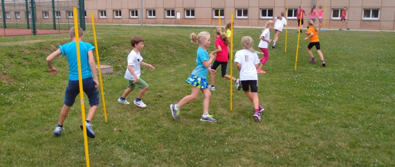 Rozdělení dotace z Programu IV. MŠMT na Údržbu a provoz sportovních zařízení pro rok 2014