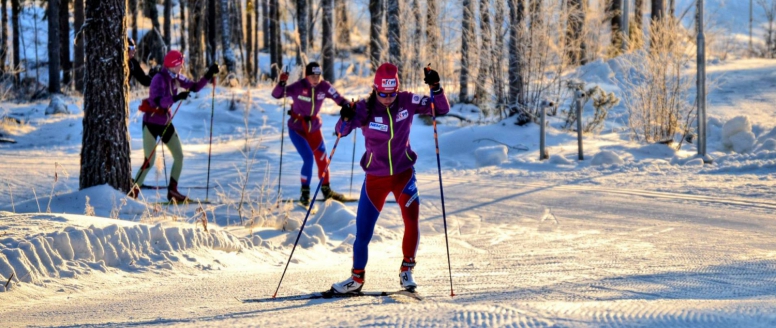 Kemp běžců na prvním sněhu v Gällivare / SWE /