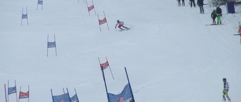 Propozice předžákovských závodů Herlikovice 2016