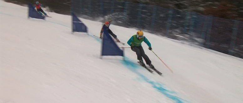 VIDEO: Český pohár ve skicrossu v Albrechticích
