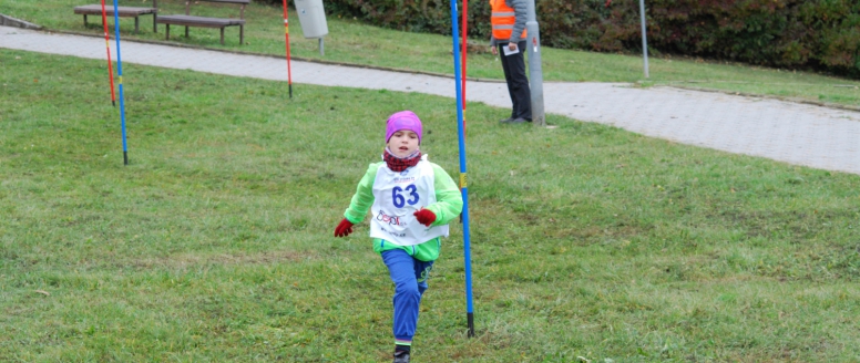 Jihomoravský lyžařský pohár 2016/2017 - termínová listina podzimních přípravných závodů