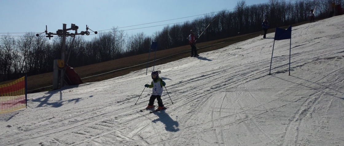 TJ SPORT NĚMČIČKY pořádá Veřejný lyžařský závod 16.2.2019