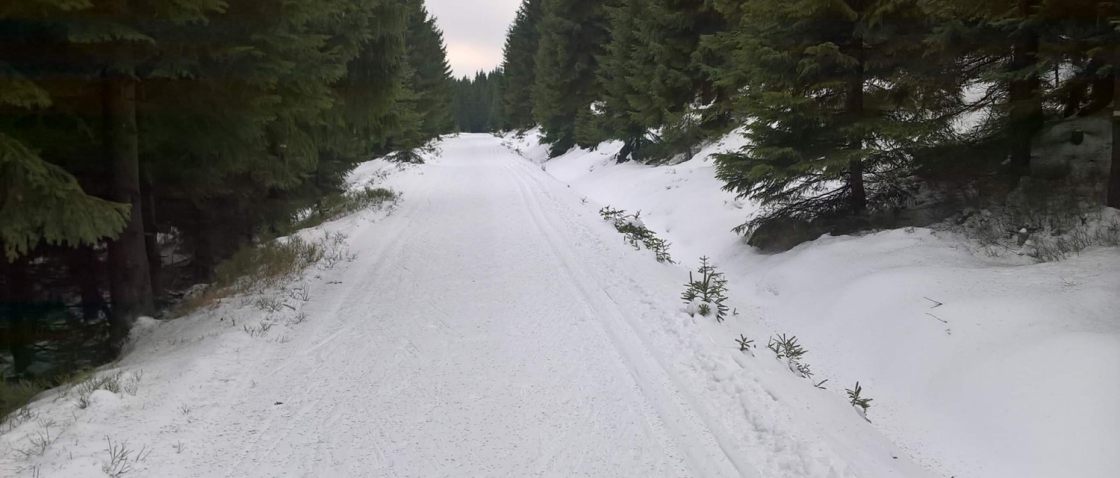 Jizerská 50 má nyní na většině trati dostatek sněhu, ale straší ji výrazné oteplení a déšť