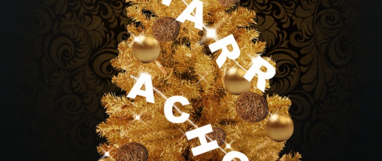 Veselé Vánoce a ať vám to v novém roce létá i skáče!