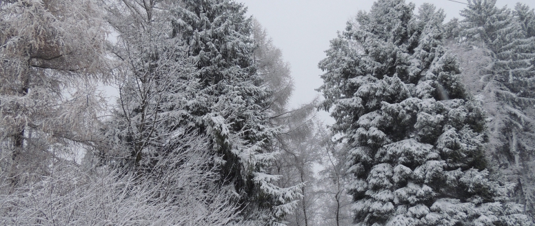 Hodně zdraví a štěstí nejen v lyžařské stopě Všem lyžníkům přejí v roce 2014 běžkaři !