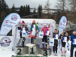 Gašparíková-Zíková-Košťálová-Straubová-Vanická-Nováková