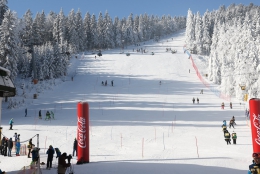 Pohled na přpravená slalomová kola zalitá ranním sluncem